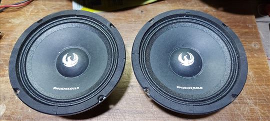 phoenix gold car audio ( 2.)