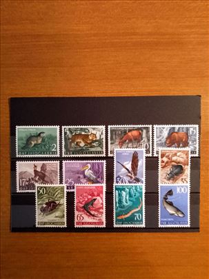 Prva fauna. -  1954