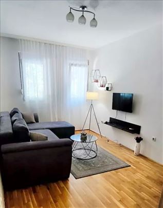 2.0 Vračar Dvosoban Lux