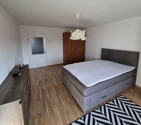 Kompetno renoviran, svetao stan, Skupština,ID 5691