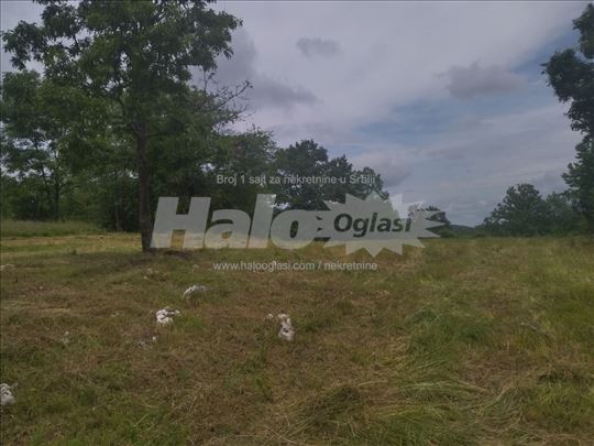 Plac Zlatibor-Rožanstvo 4ara