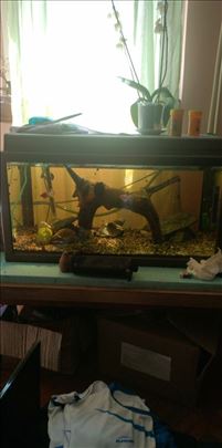 Aquarium 120L kompletan sa ribicama