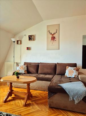 Izdajem stan u Krnjaci