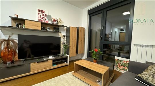 Lux 2.0 stan od 41m2, New Minel