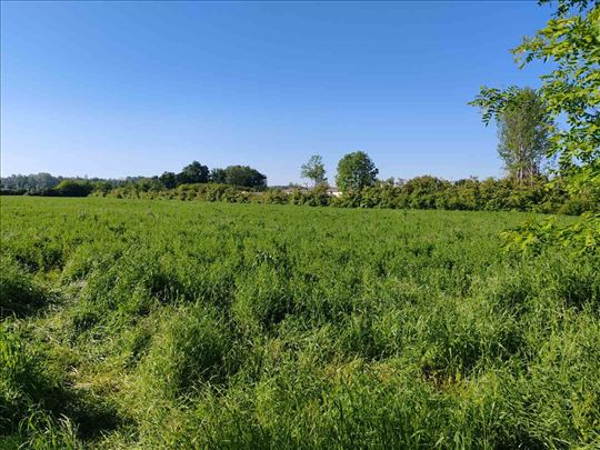 Parcela, Lajkovac, industrijska zona, 1 ha 20a, 