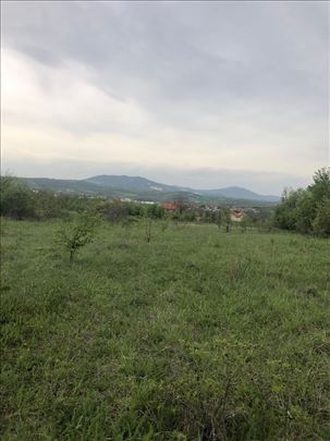 Topola,Ljubeselo,63 ara, ukjižen