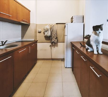 Vračar 2.0 Perfect Pet Friendly Apartment :)