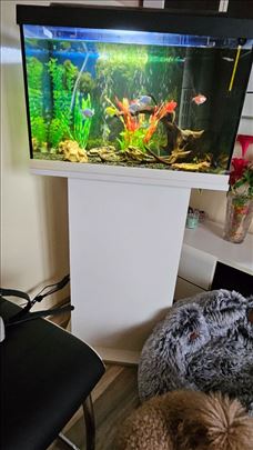Akvarijum 