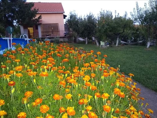 Bacevac , kuća za odmor