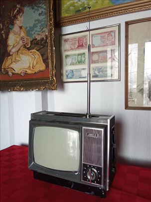 Mini televizor 