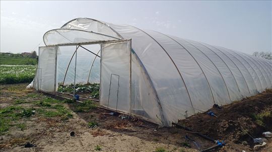 Plastenik 8x50 metara na prodaju
