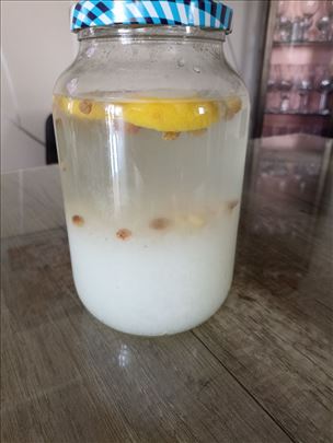 Vodeni Kefir 