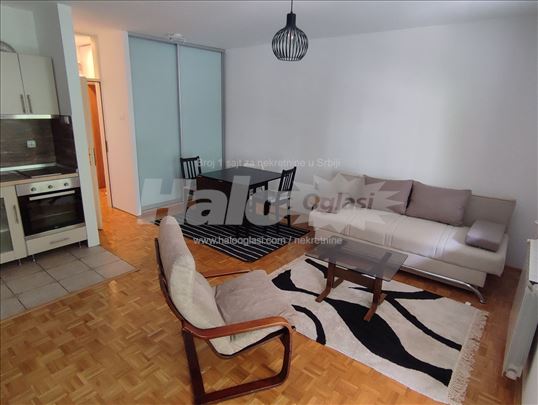 Jednospoban stan, renoviran, Novi Beograd 