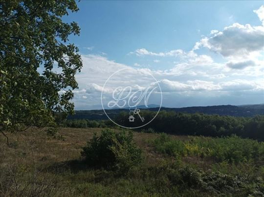 Koviona-Trešnja, 58ari, panoramski pogled ID#1230