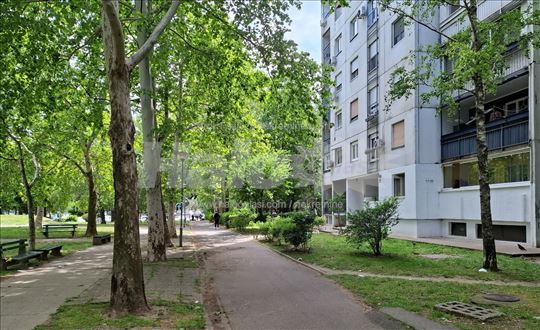 Novi Beograd, blok 63, Gandijeva, 47m2,dvosoban, 