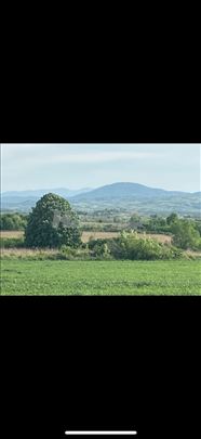 Parče raja od Kosmaja!POGLED!