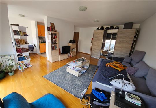 3.0 Bulevar Despota Stefana,Botanicka basta