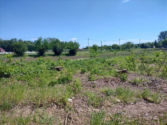 Glogonj, plac