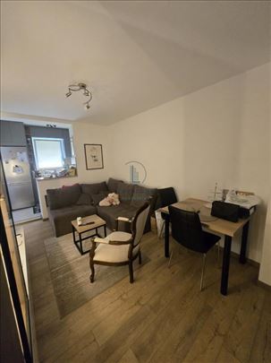 Karaburma, Homoljska, 50 m2