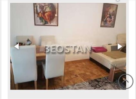 Novi Beograd - Dr ivana ribara #62273