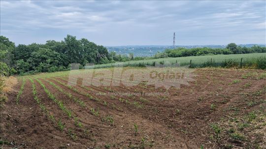 Avala, Tresnja - plac 73 ara na prodaju