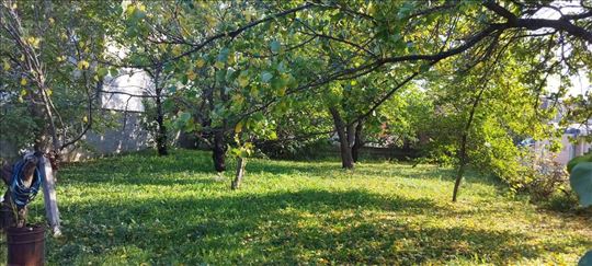 Krnjača, Igora Vasiljeva, 4.2 ara