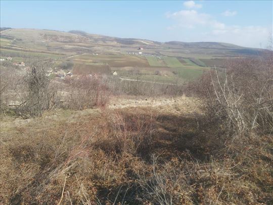 Sviloš potes Mačkovac polj.zemljište 3197m2 HITNO!