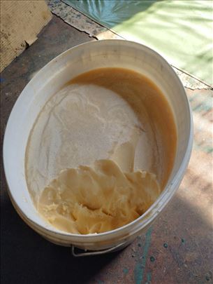 Med od uljane repice