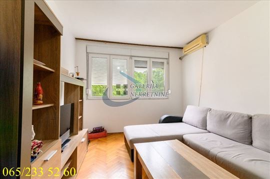 Palilula, Karaburma - Salvadora Aljendea 66m2