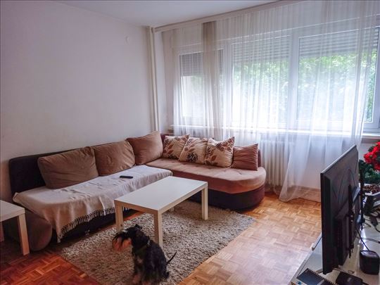 Renoviran i odmah useljiv četvorosoban stan