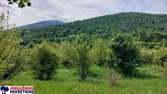 Boljevac, Rtanj - Mirovo 16,57ari