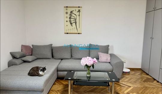 Gospodar Jovanova ID#43033