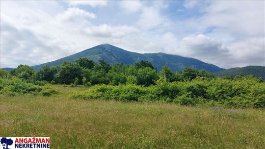 Boljevac, Rtanj - Mirovo 65,32ara