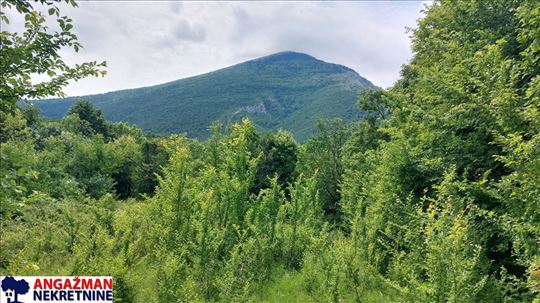 Boljevac, Rtanj - Mirovo 20,57ari