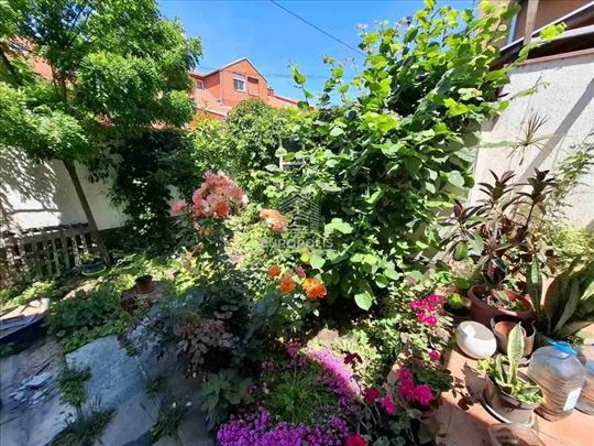 Bežanijska kosa, I mesna zajednica, Vojvođanka ID#