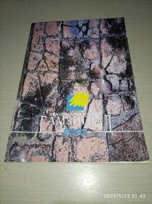 Likovna kolonija Gamzigrad 2005