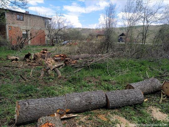 Професионално обарање и поткресивање дрвећа 