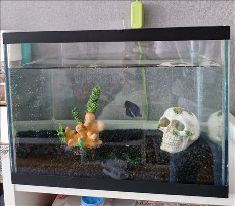 Akvarijum 14litara sa poklopcem