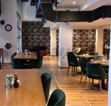 Poslovni prostor u centru Niša, 390m2