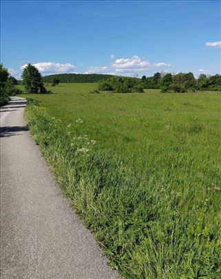 Zlatibor 1ar/900eura