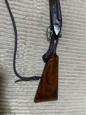 Bayard 16