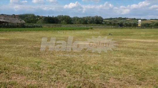 Građevinski plac 81a E75 dozvoljena gradnja 6000m2