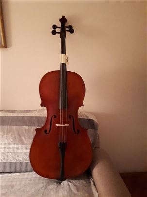 Violoncela