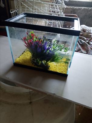 Akvarijum