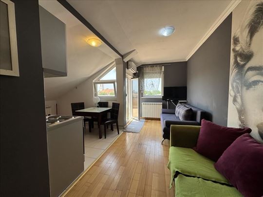 Lep,svetao stan 42m², Cara Dušana 73v, Zemun ID#21