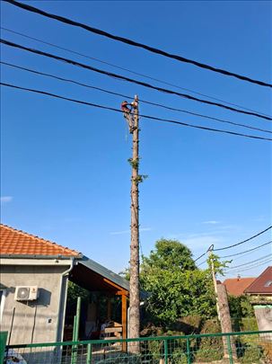 Seča stabala, košenje trave, krčenje placeva 