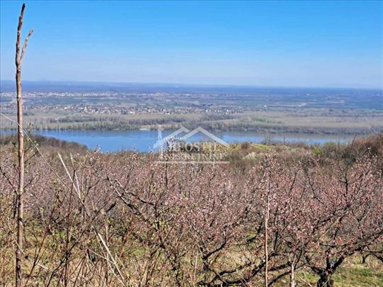 Grocka - pogled na Dunav ID#24083