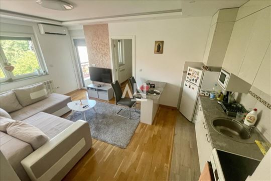 Zvezdara, Učiteljsko naselje, Paje Jovanovića, ren