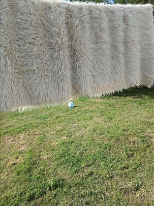 Ambolija 00% vuna