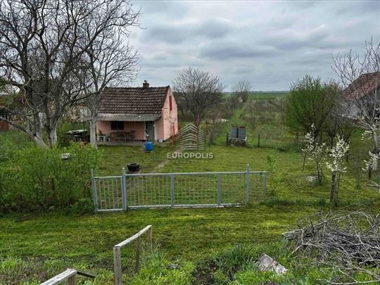 Lazarevo, Zrenjanin ID#7708